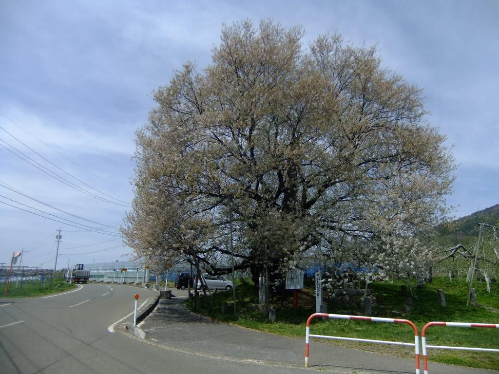 Shiga Park Hotel Yamanouchi (Nagano) Exterior foto